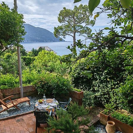 B&B La Taverna Di Mulinetti เรคโค ภายนอก รูปภาพ